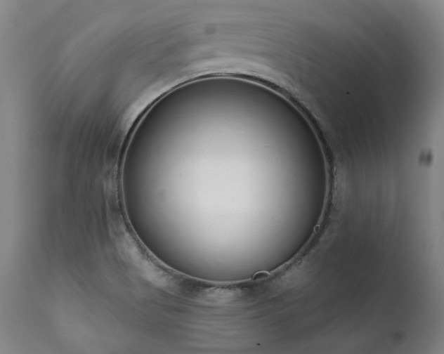 X0000111381513200907171210