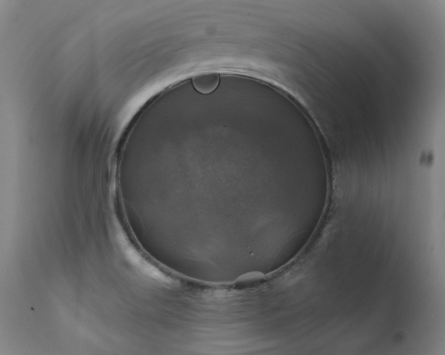 X0000111381515200907171210