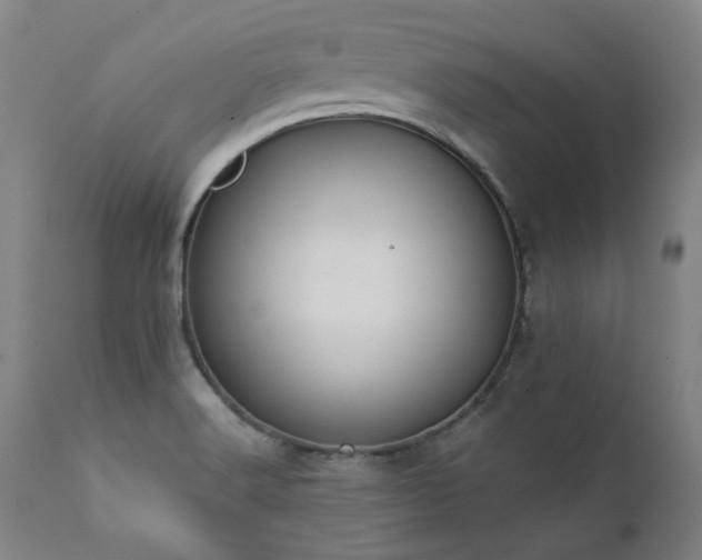 X0000111381516200907171210