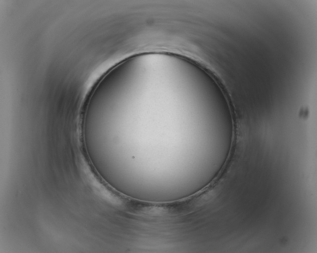 X0000111381517200907171210
