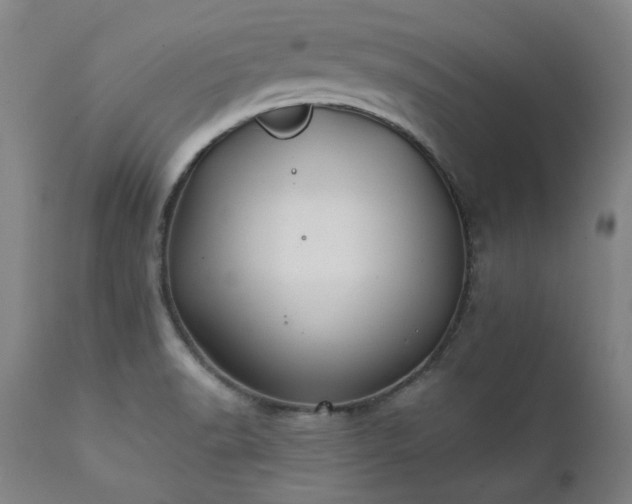 X0000111381518200907171210