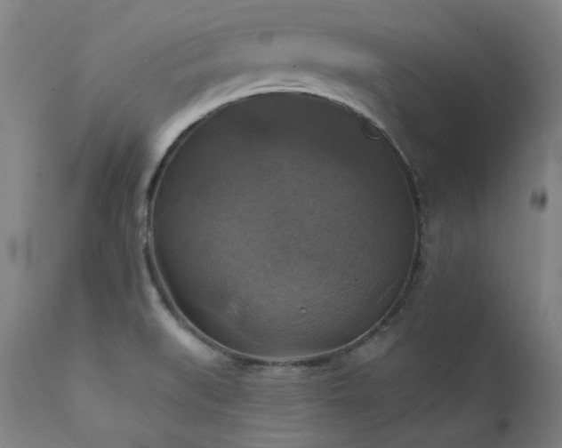 X0000111381519200907171210