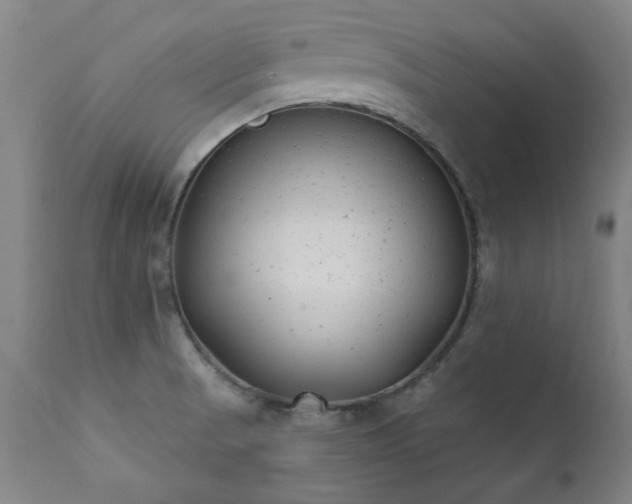 X0000111381521200907171210