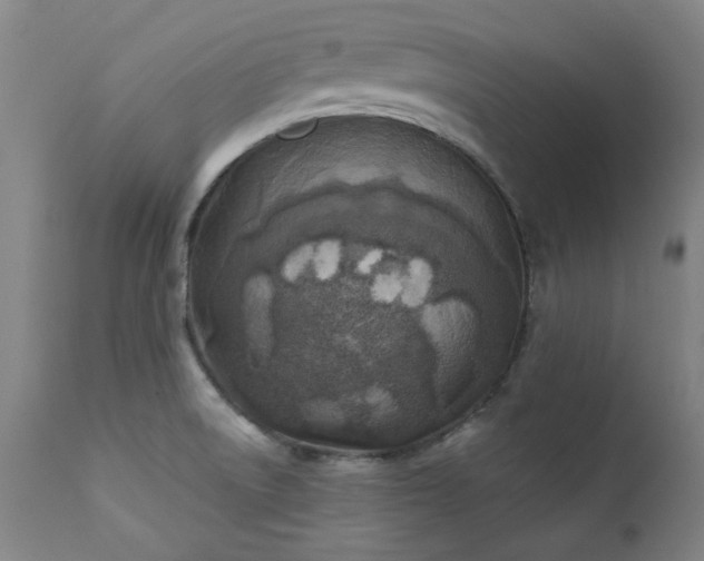 X0000111381522200907171210