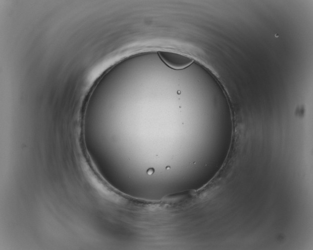 X0000111381523200907171210