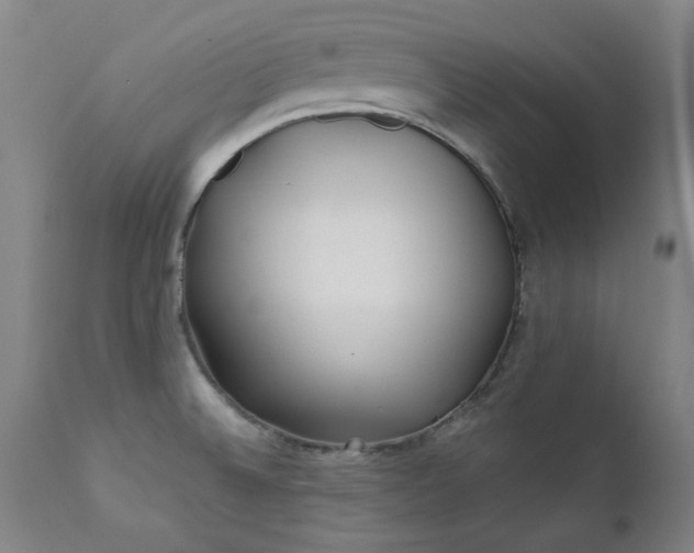 X0000111381524200907171210