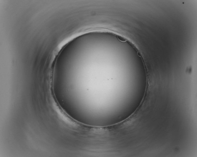 X0000111381526200907171210