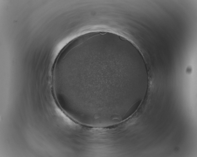 X0000111381527200907171210