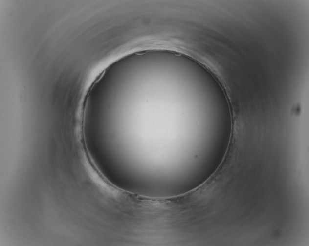 X0000111381528200907171210
