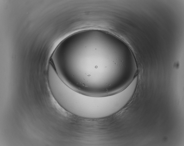 X0000111381532200907171210