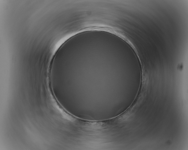 X0000111381533200907171210