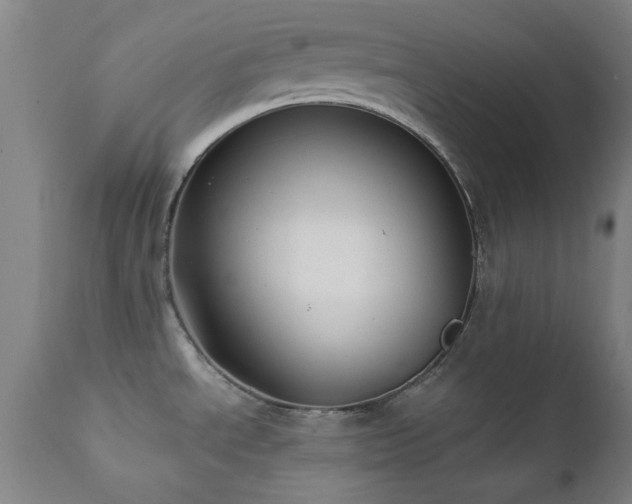 X0000111381534200907171210