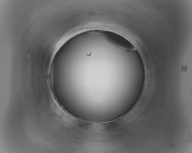 X0000111381536200907171210