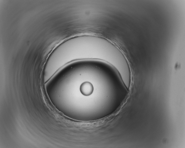 X0000111380001200907241320