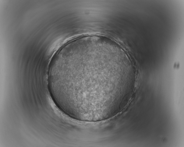 X0000111380002200907241320