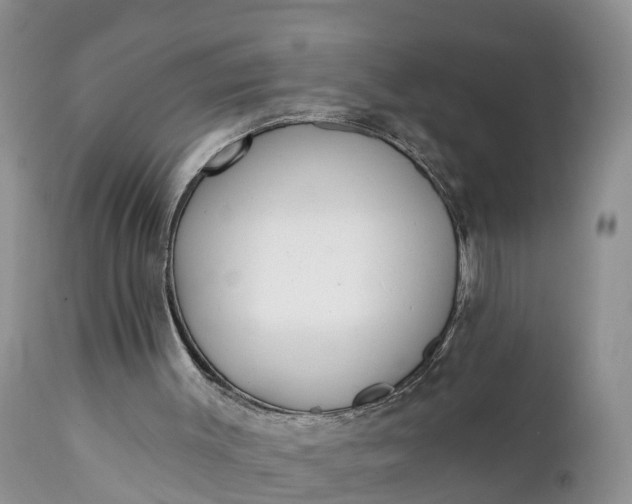 X0000111380003200907241320