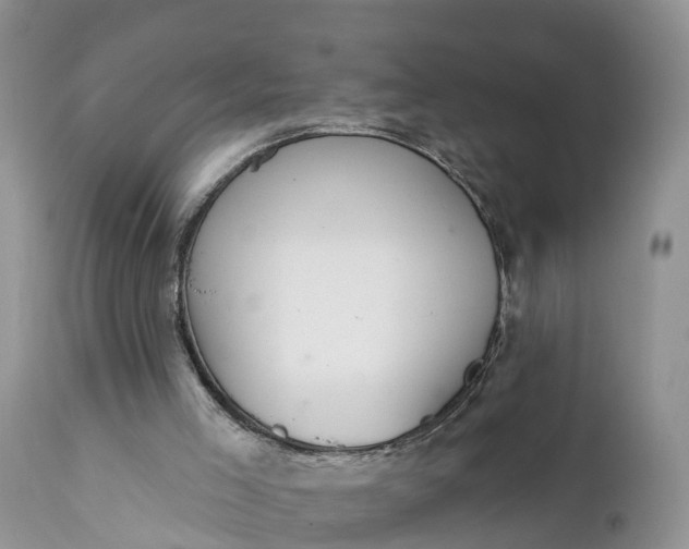 X0000111380005200907241320