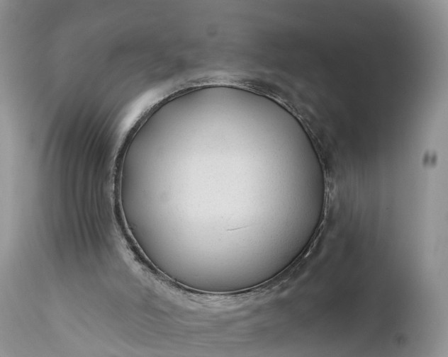 X0000111380006200907241320