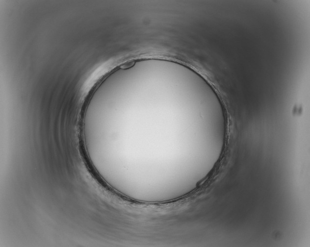 X0000111380007200907241320