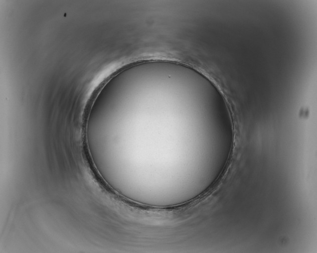 X0000111380008200907241320