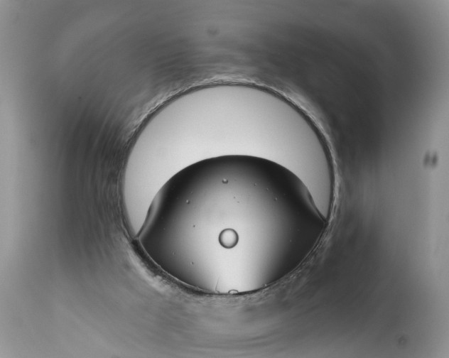 X0000111380009200907241320