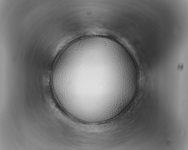 X0000111380010200907241320