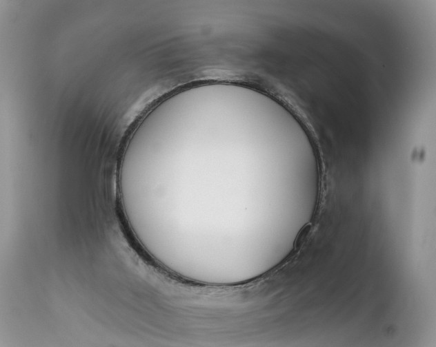 X0000111380011200907241320