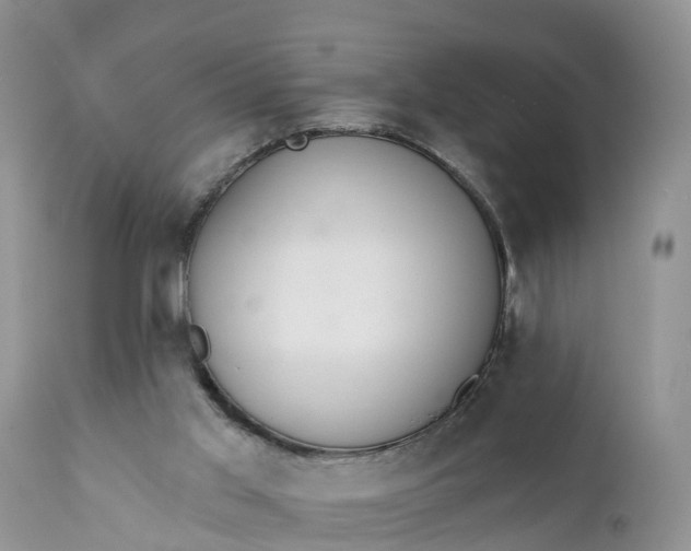 X0000111380013200907241320