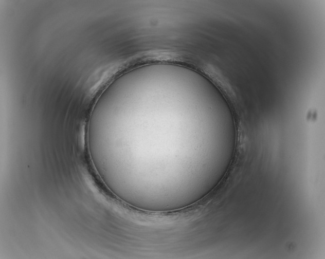 X0000111380014200907241320