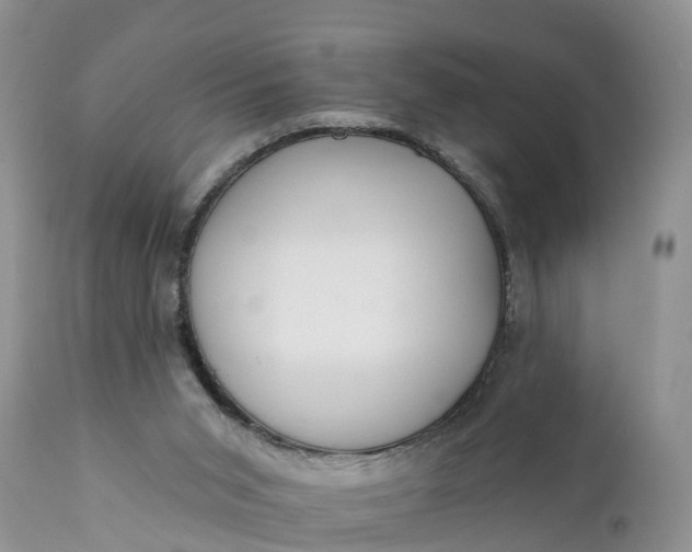 X0000111380015200907241320