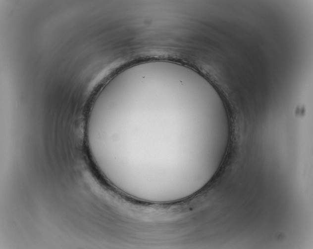 X0000111380016200907241320