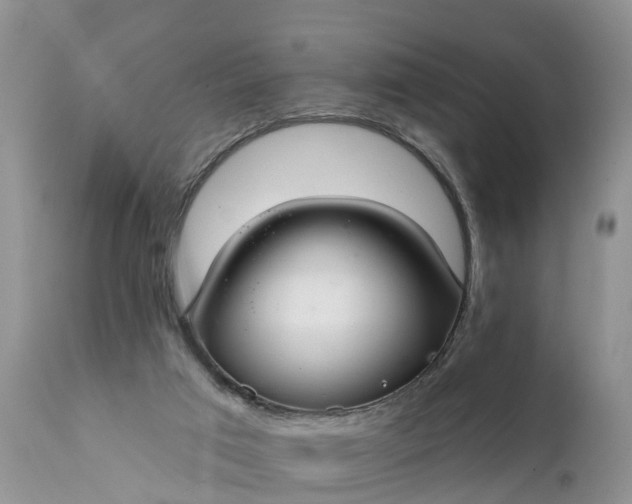 X0000111380017200907241320