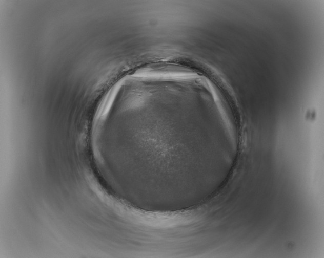 X0000111380018200907241320