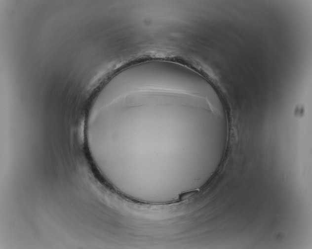 X0000111380019200907241320