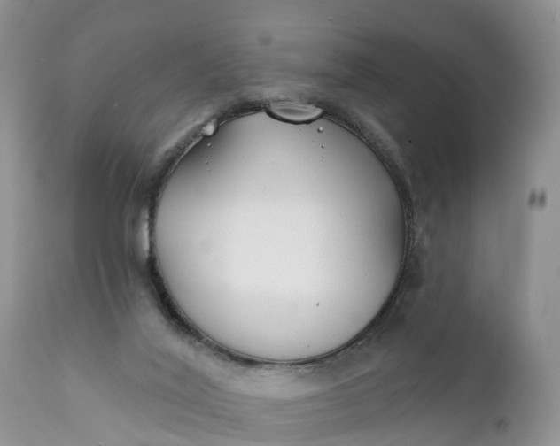 X0000111380020200907241320