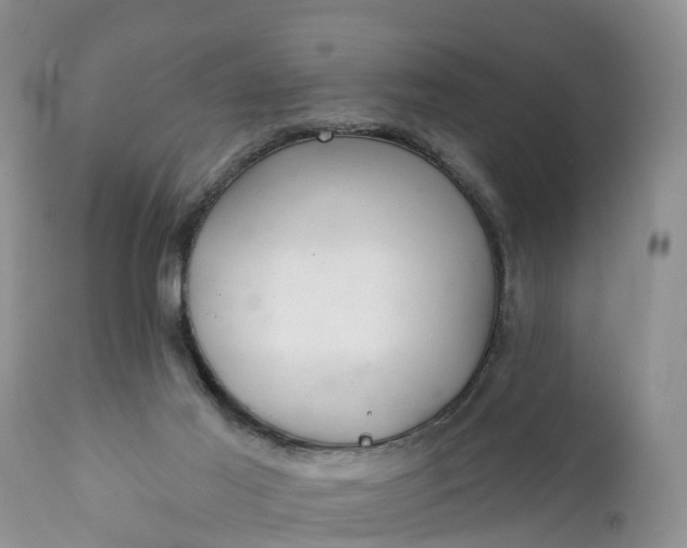 X0000111380021200907241320