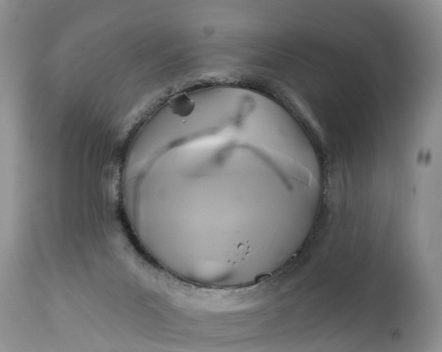 X0000111380023200907241320