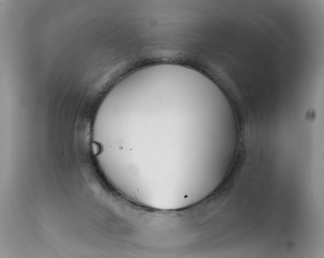 X0000111380024200907241320