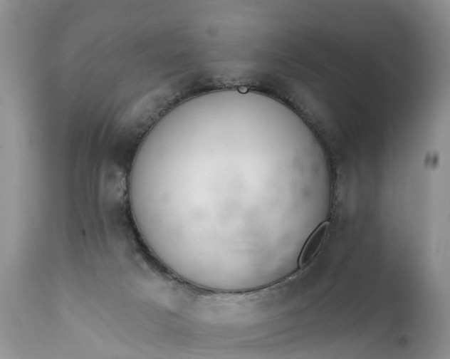 X0000111380025200907241320