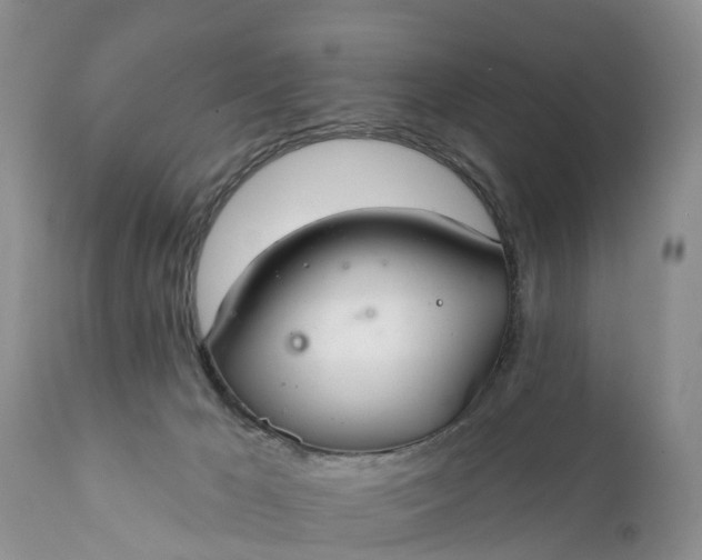 X0000111380029200907241320