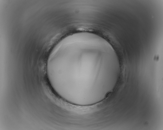 X0000111380031200907241320