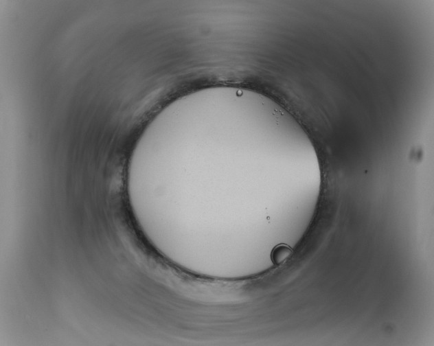 X0000111380032200907241320