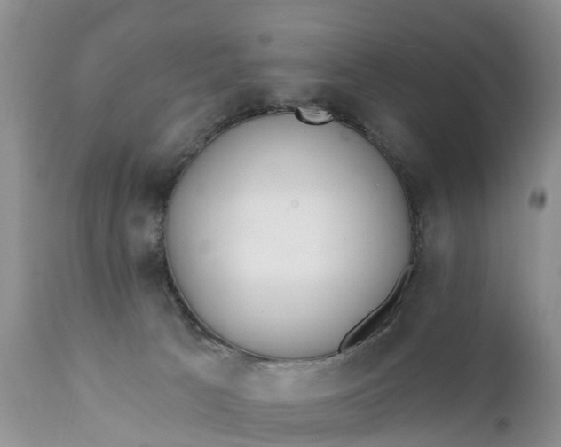 X0000111380033200907241320