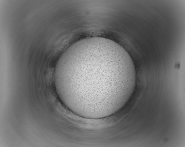 X0000111380034200907241320