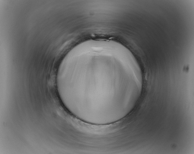 X0000111380035200907241320