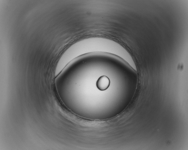 X0000111380036200907241320