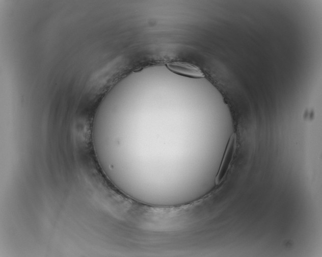 X0000111380037200907241320