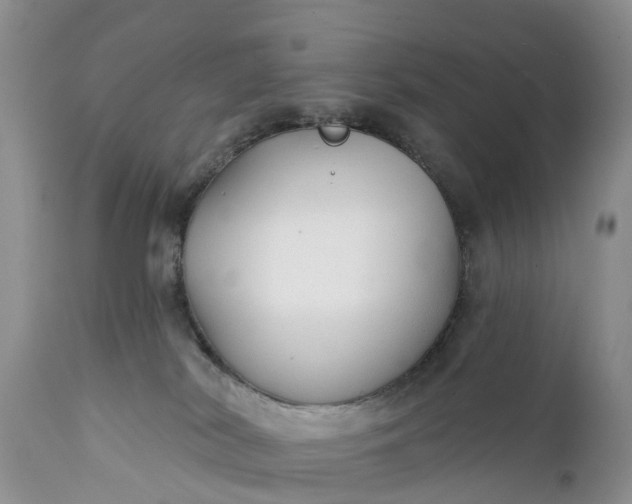 X0000111380038200907241320