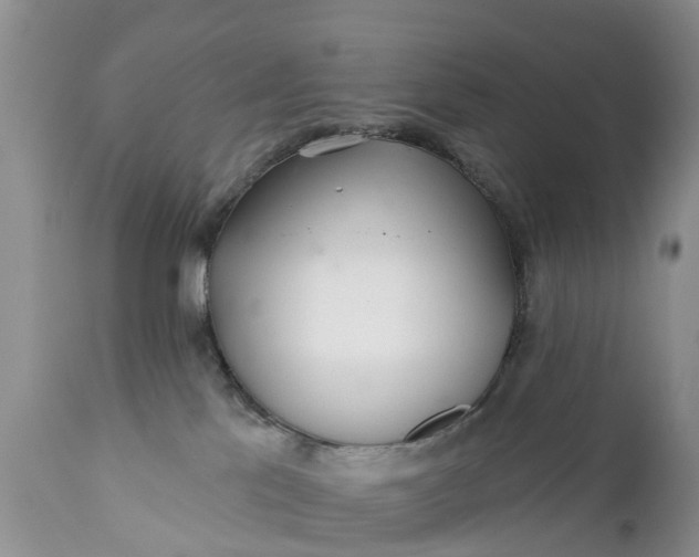 X0000111380041200907241320