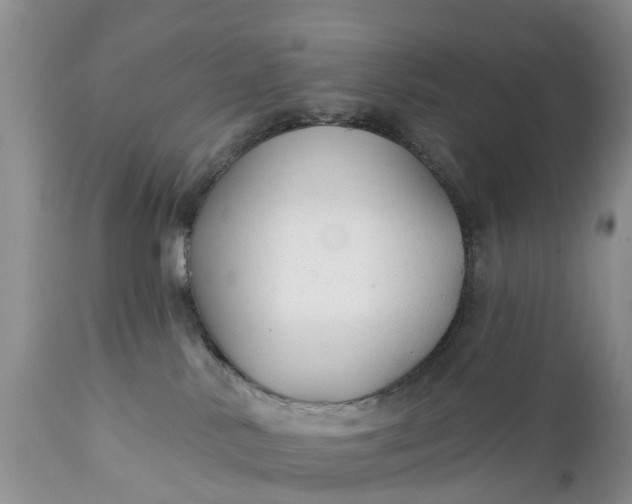 X0000111380042200907241320